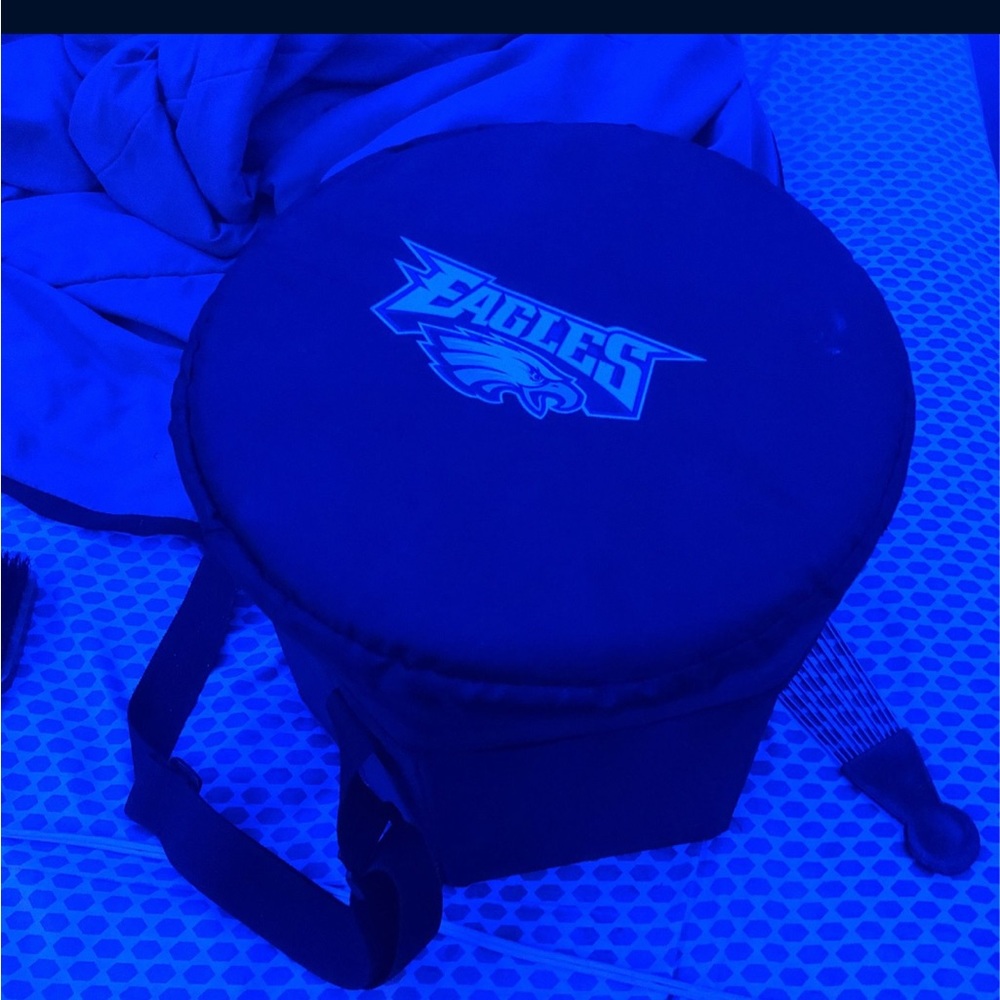 Eagles Cooler Bag